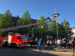 Maibaum 2018