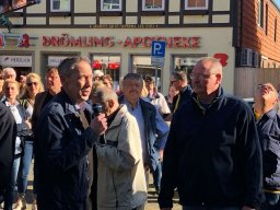 Maibaum 2018