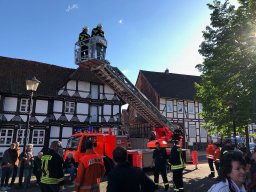 Maibaum 2018