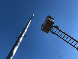 Maibaum 2018